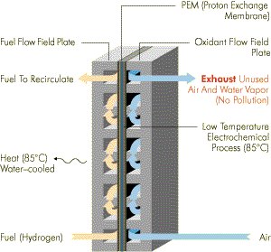 proton exchange membrane